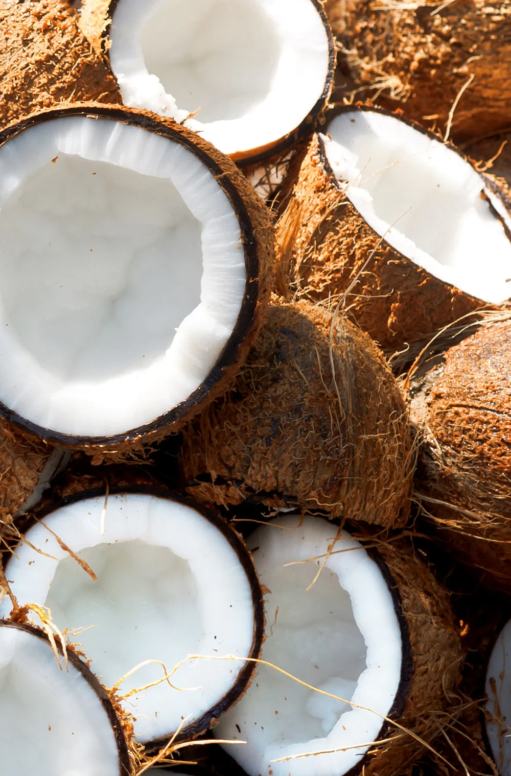 Coconut Shikakai - Image 3