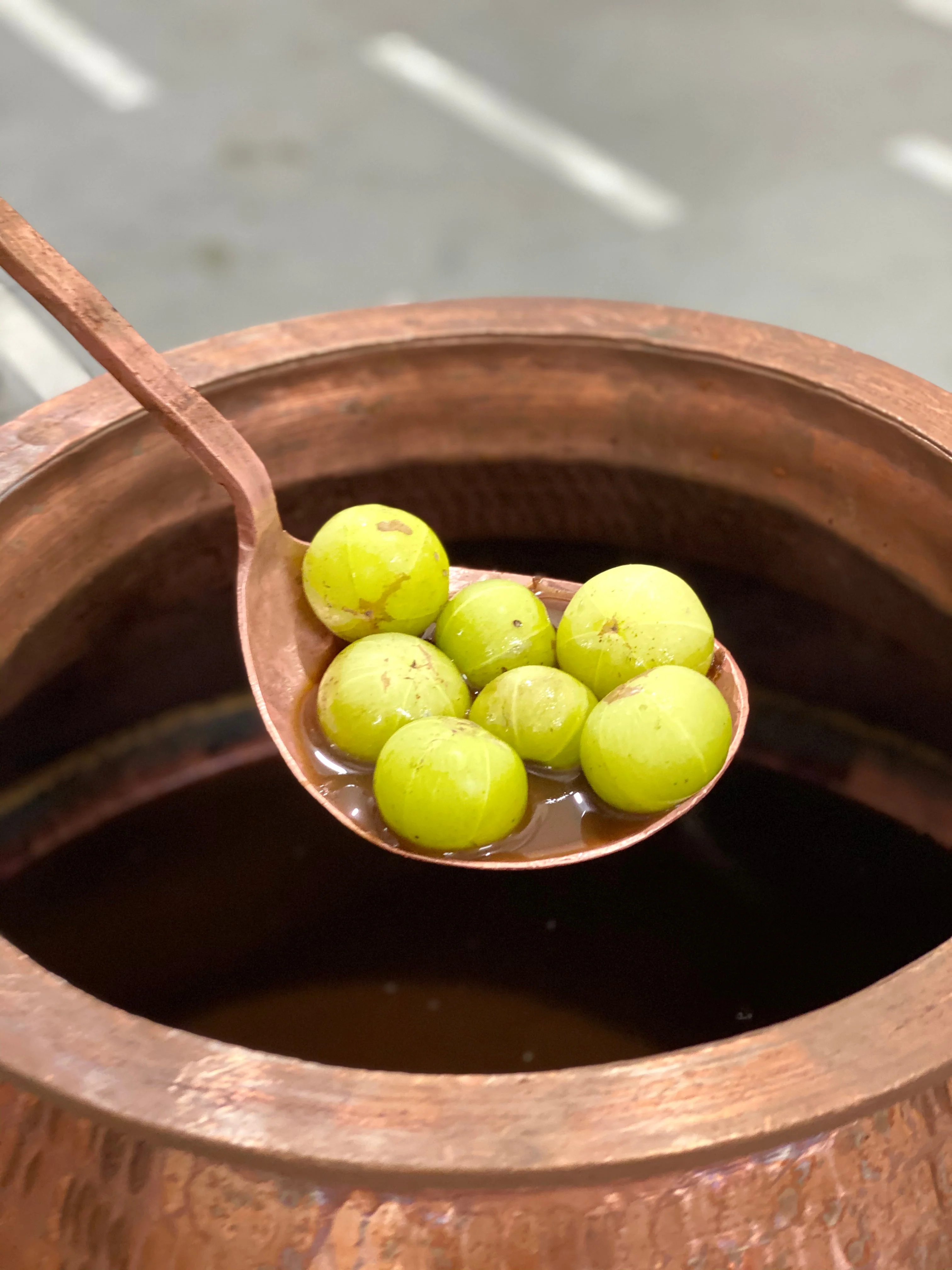 Amla Volume - Image 5